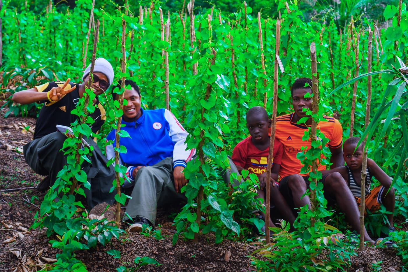 A WESOFOD-SL staff member and farming family members, including children, sitting among staked bean plants in a climate-smart garden